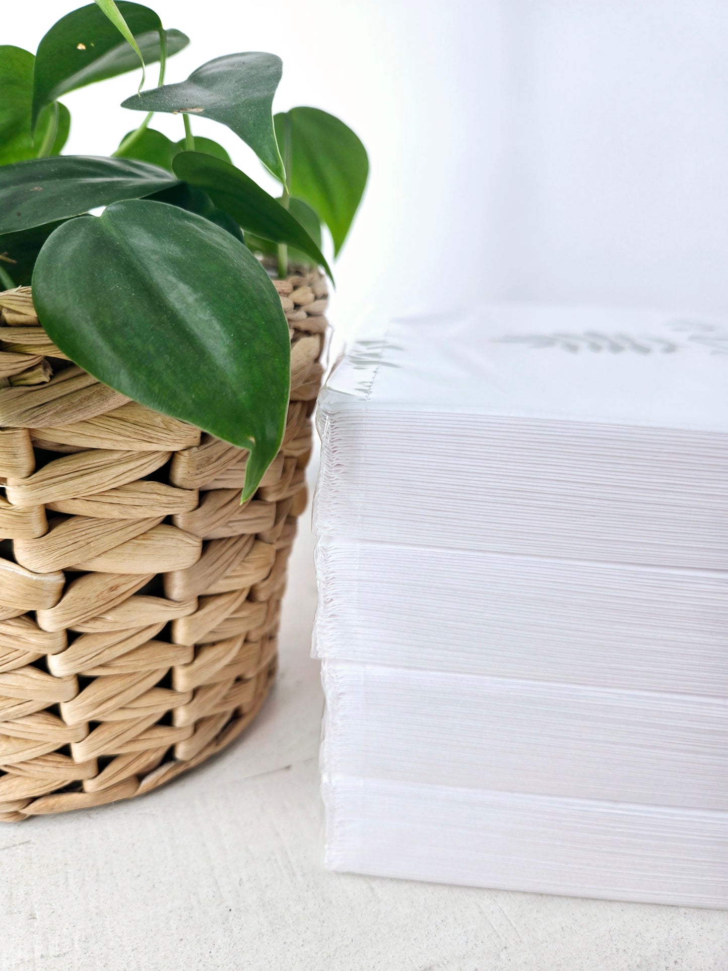 Pray Paper Scripture Napkins | 20ct Luncheon Napkins