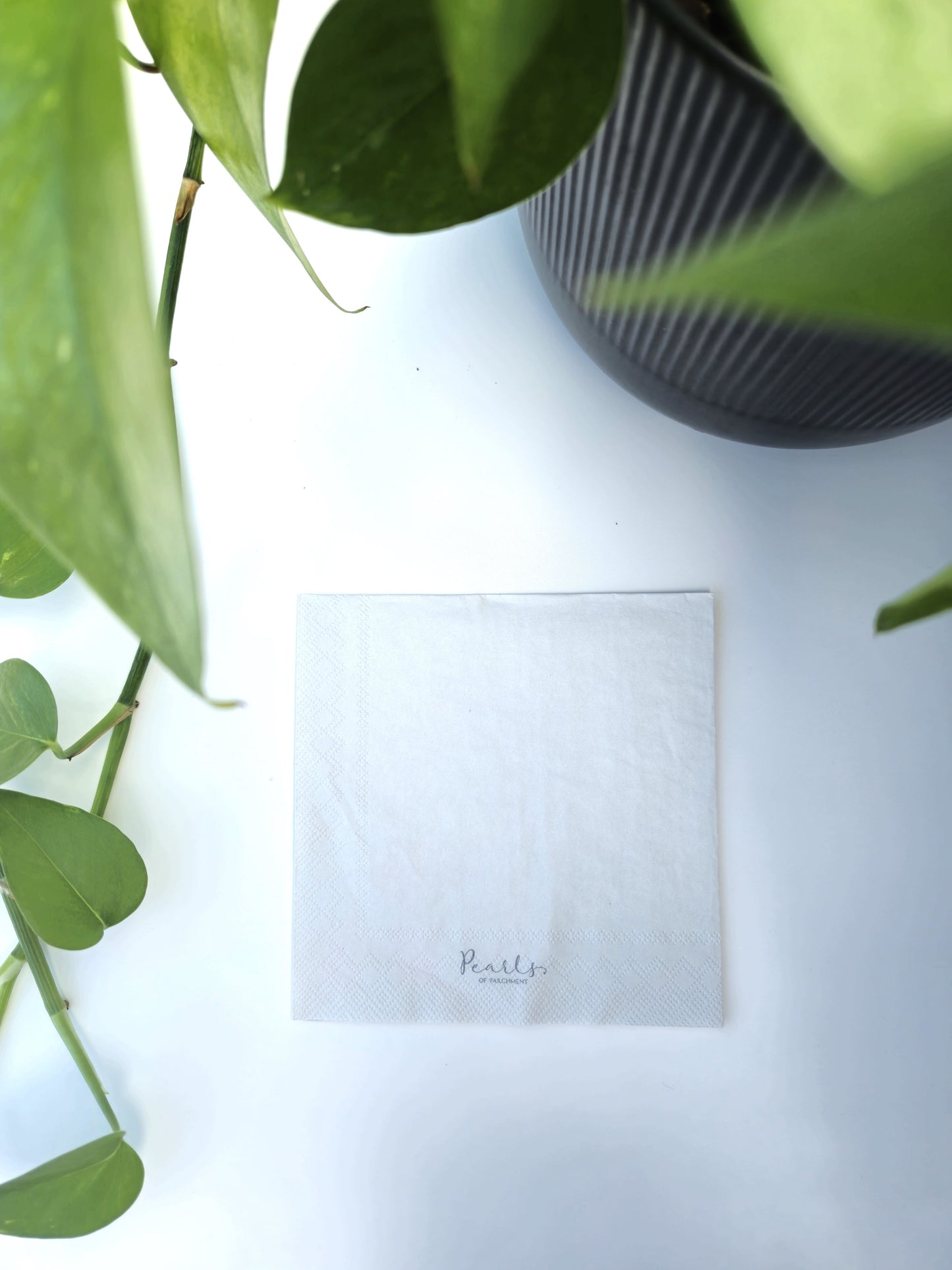 The Lord God Made Them All Scripture Napkins | 20 ct Cocktail Napkins | Baby Shower